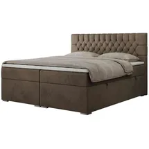 MKS Meble Boxbett mit Bettkasten ¦ braun ¦ Maße (cm): B: 140 H: 125