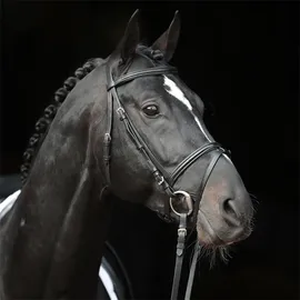 Covalliero Trensenzaum Standard Leder für Shetty Schwarz