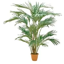 EUROPALMS Kanarische Dattelpalme, Kunstpflanze, 240cm