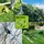 Zipper ZI-GPS252 Gartenpflegeset