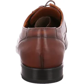 LLOYD Osmond dunkelbraun 45