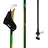 Brav Germany GmbH CT4 Nordic Walking Stock 120 cm grün