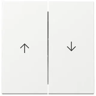 Gira Wippe 2f Pfeil System 55 Reinweiß glänzend