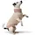 Hunter Hundepullover Odense Set beige/grün 40