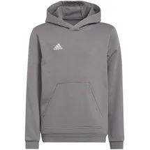adidas Entrada 22 Hoodie Grau 128