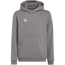 adidas Entrada 22 Hoodie Grau 128