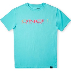 O'Neill Sanborn T-shirt bachelor button (15046) 116