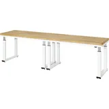 Rau Werkbank elektrisch höhenverstellbar, B3000xT700xH740-1140mm, B-Platte-40 mm