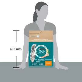 Purina One Adult Huhn und Vollkorn-Getreide 2,8 kg