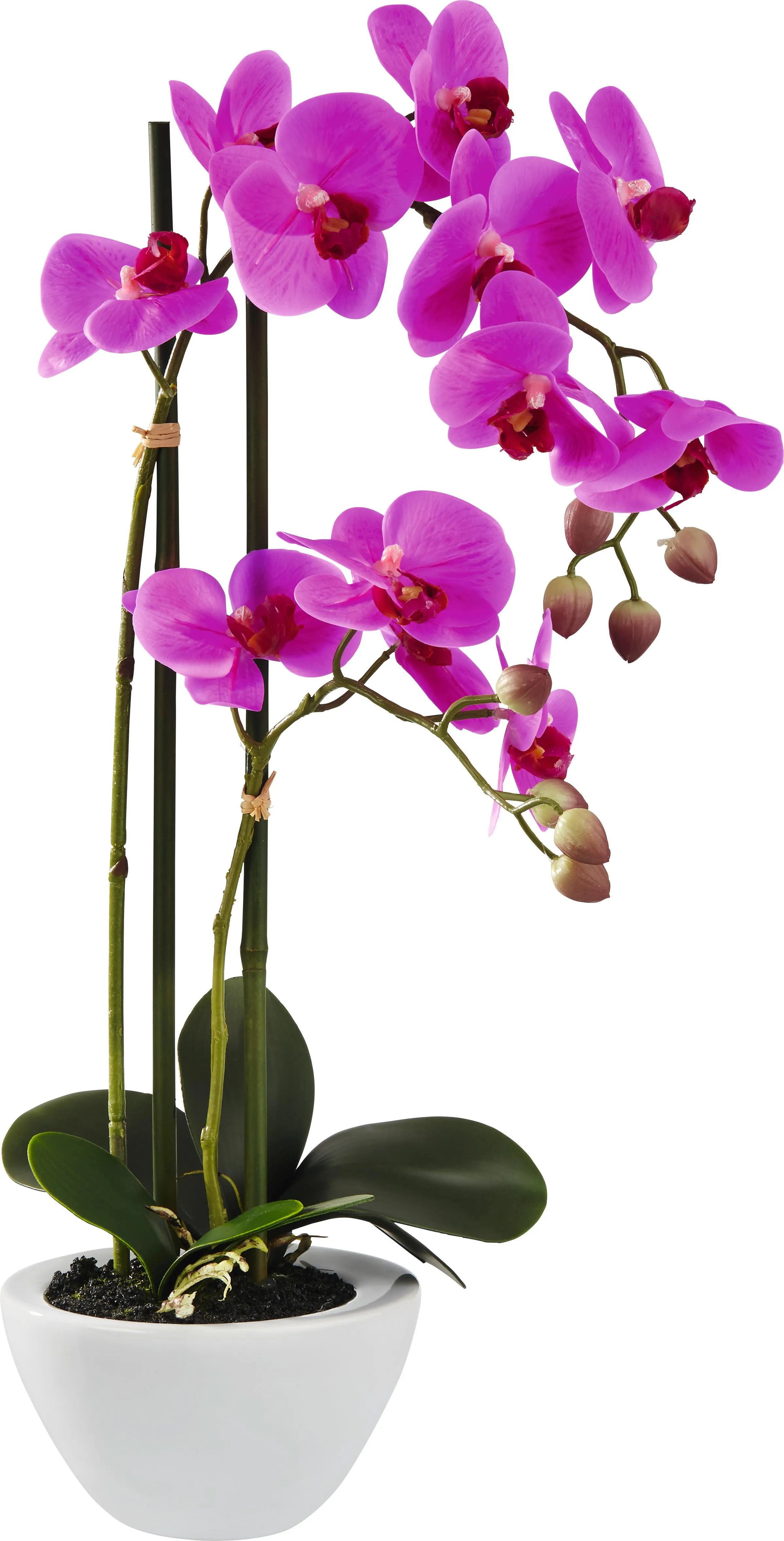 Kunstpflanze Orchidee