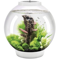 OASE Tabletop Aquarien »biOrb CLASSIC«, mit LED Beleuchtung, 30 l, weiss