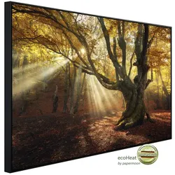 papermoon Infrarotheizung »EcoHeat - Magischer alter Baum«, Matt-Effekt - bunt
