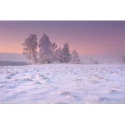 Fototapete PAPERMOON "Schneelandschaft", bunt, B:3,50m L:2,60m, Vlies, Tapeten