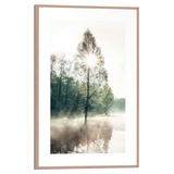 REINDERS! Bild SUNNY Tree,