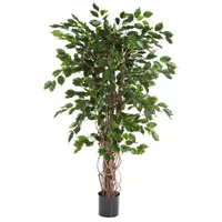 aplanta Künstlicher Ficus - Jasmin | 210 cm
