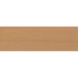 PNZ Teak-Öl teakfarben seidenmatt 1 l