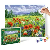Schipper 609130824 Malen nach Zahlen Blumenwiese 40 x 50 cm