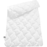 SCHIESSER Microfaserbettdecke »Hygge leichte Ganzjahressteppdecke mit flauschiger Füllung«, normal, (1 St.), STANDARD 100 by OEKO-TEX® zertifiziert, weiß
