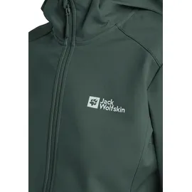 Jack Wolfskin Bornberg Hoody W