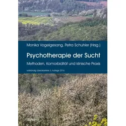 Psychotherapie der Sucht