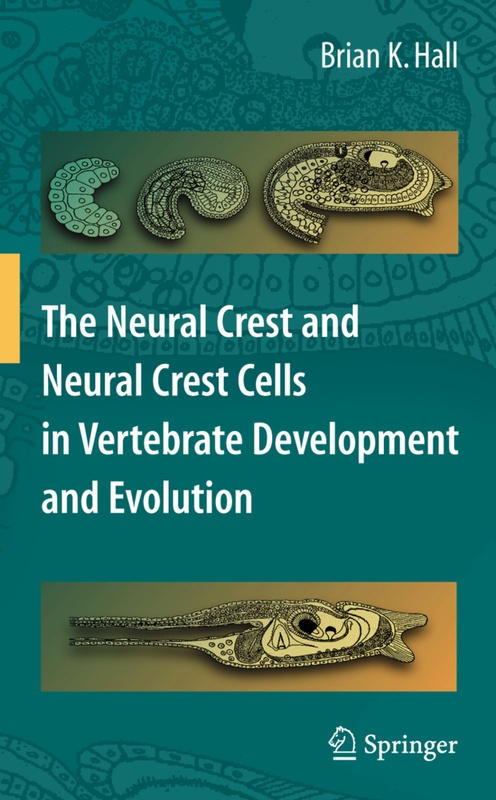The Neural Crest And Neural Crest Cells In Vertebrate Development And Evolution - Brian K. Hall, Kartoniert (TB)