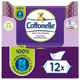 Cottonelle® Toilettenpapier Feuchtes Toilettenpapier - Seide & Jasmin, 12x42 Toilettentücher (Vorratspackung 12 x 42 Tücher), Toilettentücher weiß