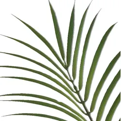CREATIV green künstliche Pflanze Phönix Palme, 150cm, schwer entflammbar
