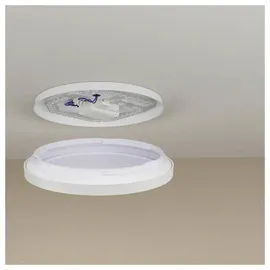 Philips Deckenleuchte 1 LED quadratisch weiß