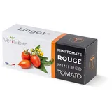 Veritable Anzuchttopf Lingot Red mini Tomato (1 St) grün