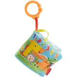 Fisher-Price FGJ40 - Kleines Spielbuch weiches Baby Buch, inkl. 1 abnehmbares Spielzeug, Babyspielzeug ab der Geburt, Multicolour