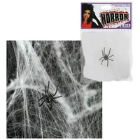 54241 Spinnennetz mit Spinne, ca. 20g