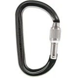 Petzl Kletterkarabiner Grau