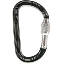 Petzl Kletterkarabiner Grau