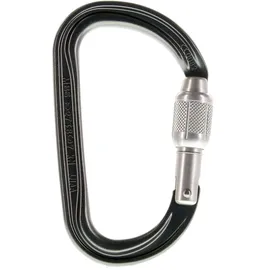Petzl Kletterkarabiner Grau