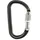 Petzl Kletterkarabiner Grau
