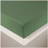 Traumschlaf Spannbettlaken Baumwolle-Jersey-Lyocell 120 x 200 cm grün