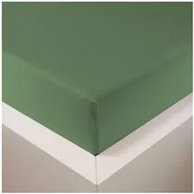 Traumschlaf Spannbettlaken Baumwolle-Jersey-Lyocell 120 x 200 cm grün
