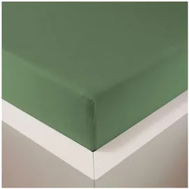 Traumschlaf Spannbettlaken Baumwolle-Jersey-Lyocell 120 x 200 cm grün