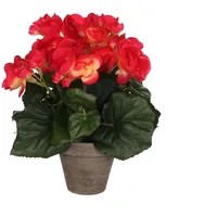 Mica decorations Mica Begonia im Topf dunkelrosa, 25 x