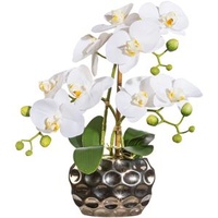 Creativ-green Kunstblume Orchidee, Phalaenopsis, weiß, in silberner Ovalvase, Höhe 30 cm