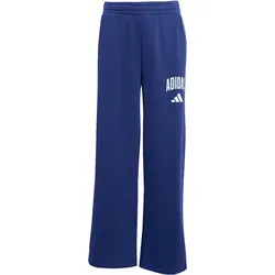Adidas Seasonals Essentials Collegiate Typography Trainingshosen Kinder - blau 140