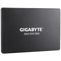 Gigabyte GP-GSTFS31100TNTD 1 TB 2,5"