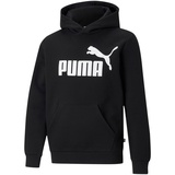 Puma Essentials Big Logo Fleece-Hoodie Jungen black 140