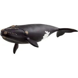 Schleich Wild Life Nordatlantischer Glattwal 14878