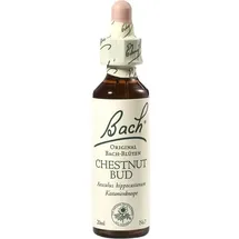 Nelsons Gmbh Bachblüten Chestnut Bud Tropfen