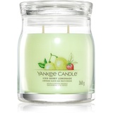Yankee Candle Iced Berry Lemonade Duftkerze 368 g
