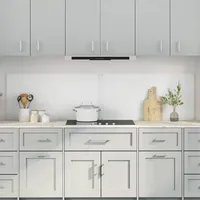 vidaXL Küchenrückwand 2 pcs Transparent 100 x 50 cm Gehärtetes Glas