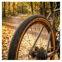 Schwalbe G-One Allround 28 x 1,70 Zoll Faltreifen