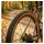 Schwalbe G-One Allround 28 x 1,70 Zoll Faltreifen