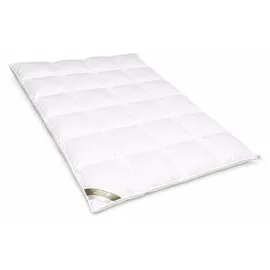Betten Hofmann Hofmann Franken Daunenbett Daunendecke 4x6, 155x220 5 cm Außensteg 100% Daunen - Schwarz